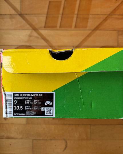 Wasted Youth x Nike SB Dunk Low